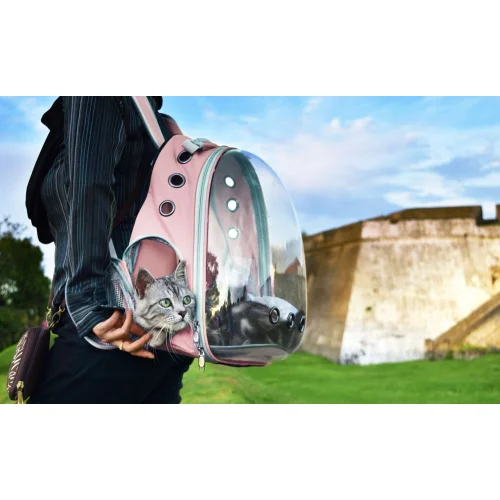 Plecak transporter z szybą dla kota psa torba podr