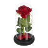 Róża w szkle- świecąca Ruhhy 25682