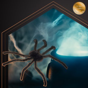 Duży Włochaty Pająk Dekoracyjny Ruhhy