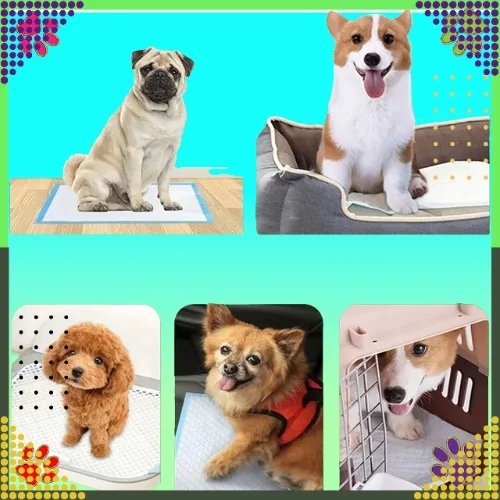 Podkłady Higieniczne dla Psa 40x60cm 50szt